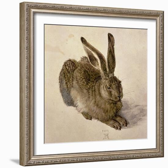 Hare, 1502-Albrecht Dürer-Framed Giclee Print