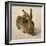 Hare, 1502-Albrecht Dürer-Framed Giclee Print