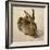 Hare, 1502-Albrecht Dürer-Framed Giclee Print