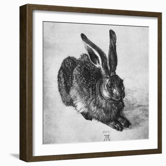 Hare, 1502-Albrecht Durer-Framed Giclee Print