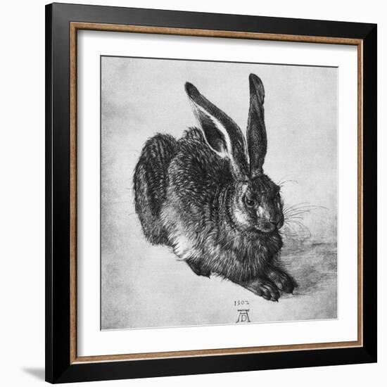 Hare, 1502-Albrecht Durer-Framed Giclee Print