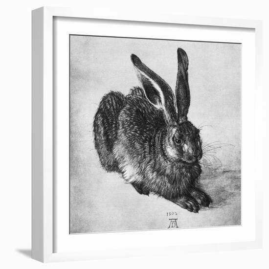 Hare, 1502-Albrecht Durer-Framed Giclee Print