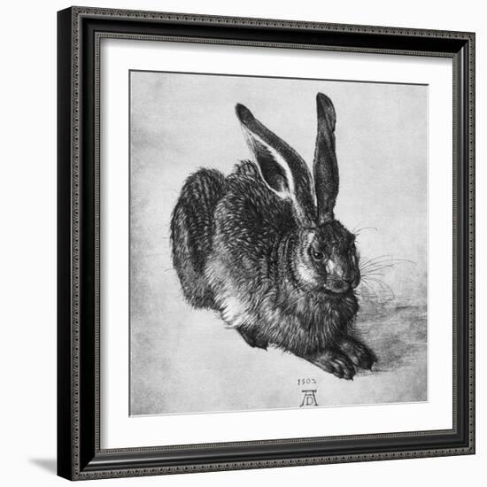 Hare, 1502-Albrecht Durer-Framed Giclee Print