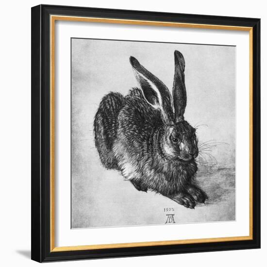 Hare, 1502-Albrecht Durer-Framed Giclee Print