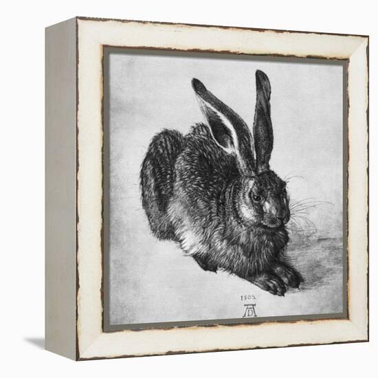 Hare, 1502-Albrecht Durer-Framed Premier Image Canvas