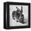 Hare, 1502-Albrecht Durer-Framed Premier Image Canvas