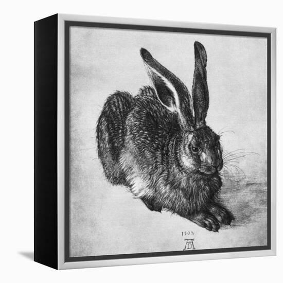 Hare, 1502-Albrecht Durer-Framed Premier Image Canvas