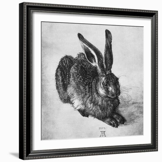 Hare, 1502-Albrecht Durer-Framed Giclee Print