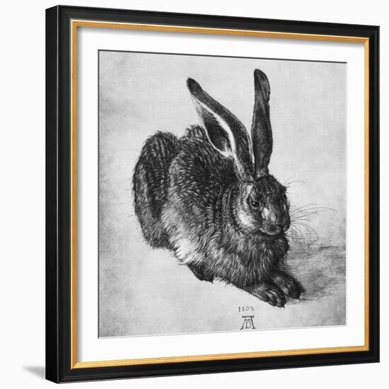Hare, 1502-Albrecht Durer-Framed Giclee Print