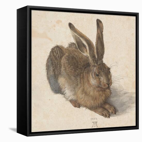 Hare, 1502-Albrecht Dürer-Framed Premier Image Canvas