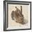 Hare, 1502-Albrecht Dürer-Framed Giclee Print