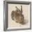 Hare, 1502-Albrecht Dürer-Framed Giclee Print