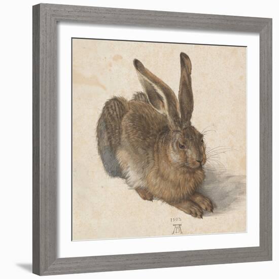 Hare, 1502-Albrecht Dürer-Framed Giclee Print