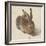 Hare, 1502-Albrecht Dürer-Framed Giclee Print