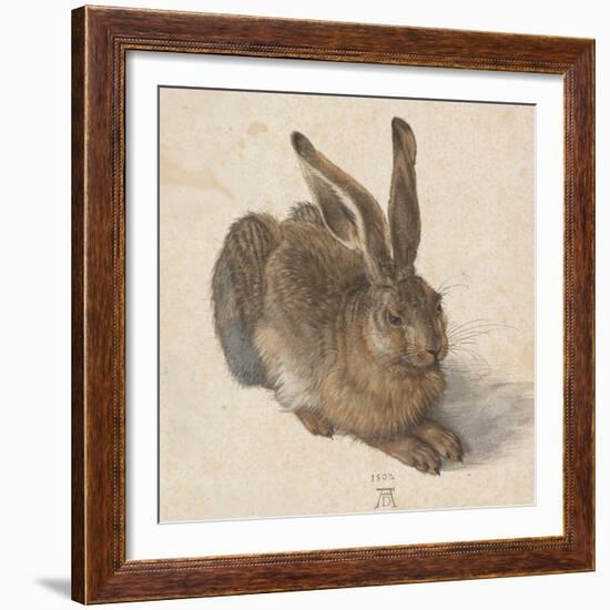 Hare, 1502-Albrecht Dürer-Framed Giclee Print
