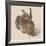 Hare, 1502-Albrecht Dürer-Framed Giclee Print