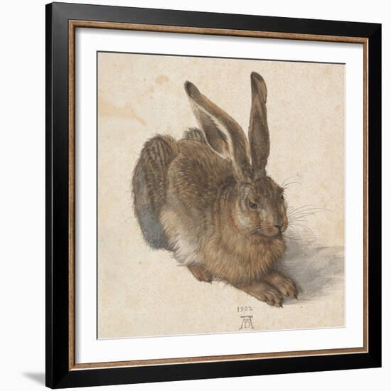 Hare, 1502-Albrecht Dürer-Framed Giclee Print