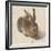 Hare, 1502-Albrecht Dürer-Framed Giclee Print