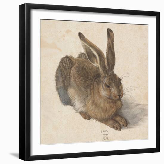 Hare, 1502-Albrecht Dürer-Framed Giclee Print