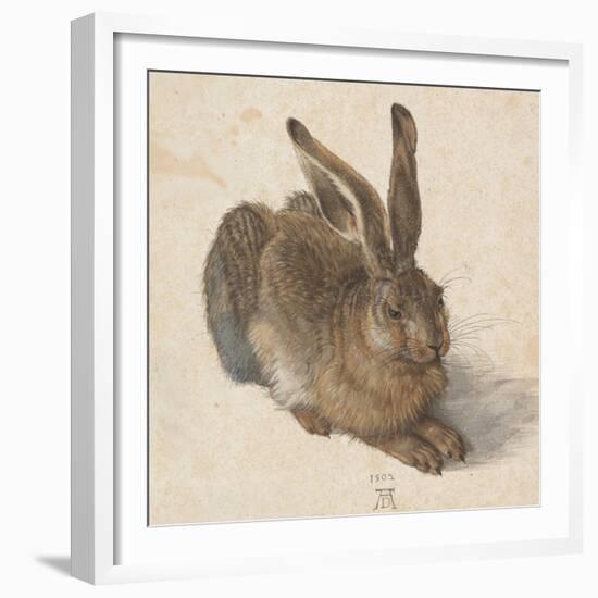 Hare, 1502-Albrecht Dürer-Framed Giclee Print