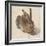 Hare, 1502-Albrecht Dürer-Framed Giclee Print