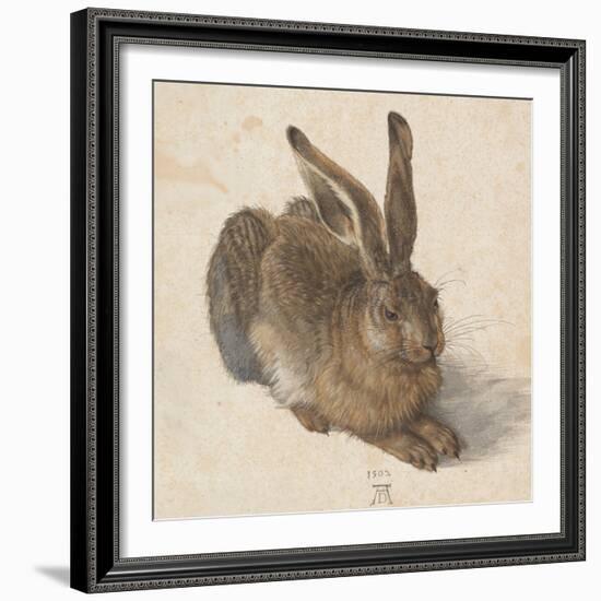 Hare, 1502-Albrecht Dürer-Framed Giclee Print