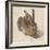 Hare, 1502-Albrecht Dürer-Framed Giclee Print