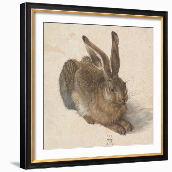 Hare, 1502-Albrecht Dürer-Framed Giclee Print