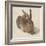 Hare, 1502-Albrecht Dürer-Framed Giclee Print