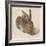 Hare, 1502-Albrecht Dürer-Framed Giclee Print