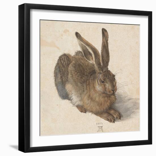 Hare, 1502-Albrecht Dürer-Framed Giclee Print