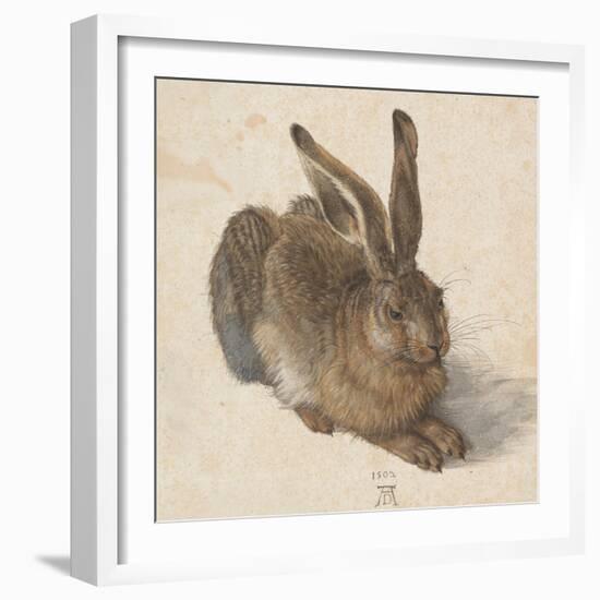 Hare, 1502-Albrecht Dürer-Framed Giclee Print