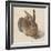 Hare, 1502-Albrecht Dürer-Framed Giclee Print