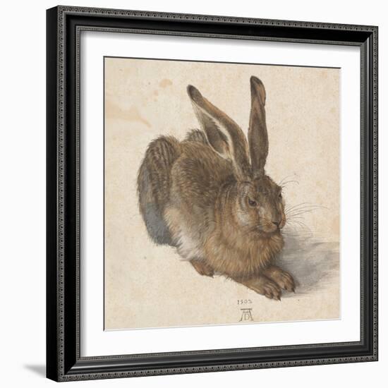 Hare, 1502-Albrecht Dürer-Framed Giclee Print