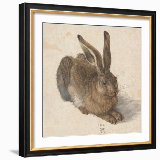 Hare, 1502-Albrecht Dürer-Framed Giclee Print