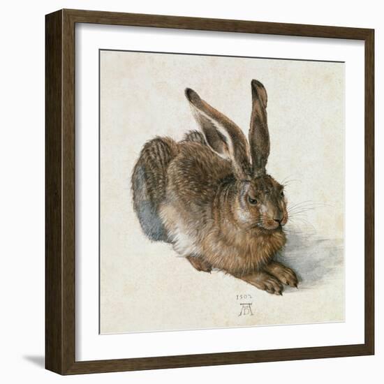 Hare, 1502-Albrecht Dürer-Framed Giclee Print