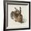 Hare, 1502-Albrecht Dürer-Framed Giclee Print