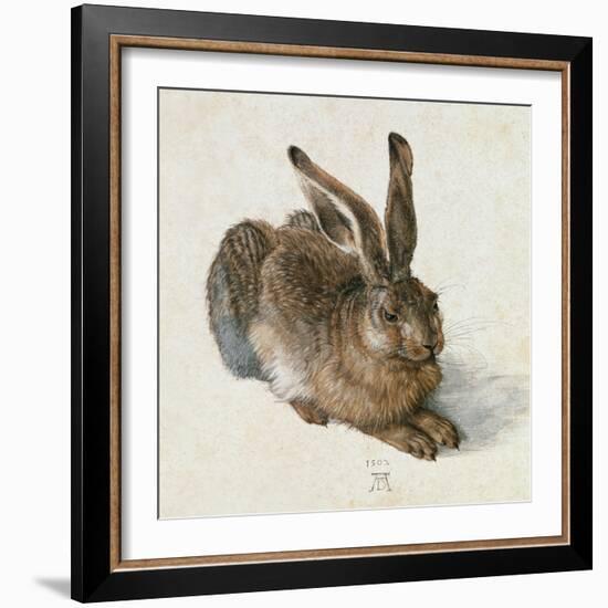 Hare, 1502-Albrecht Dürer-Framed Giclee Print