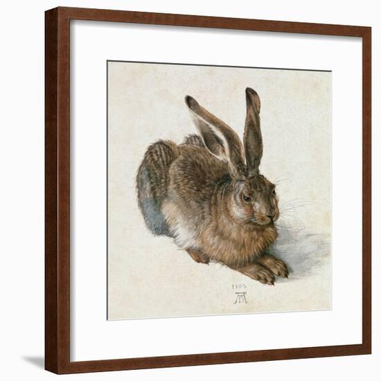 Hare, 1502-Albrecht Dürer-Framed Giclee Print