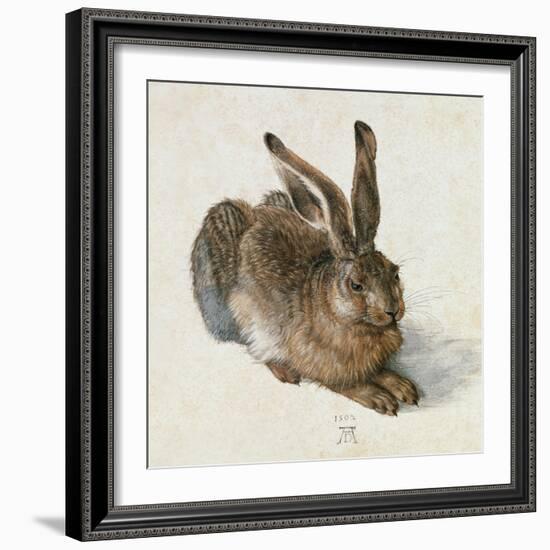 Hare, 1502-Albrecht Dürer-Framed Giclee Print