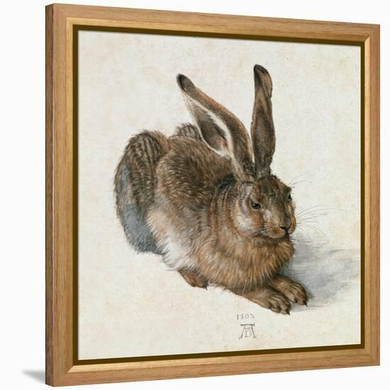 Hare, 1502-Albrecht Dürer-Framed Premier Image Canvas