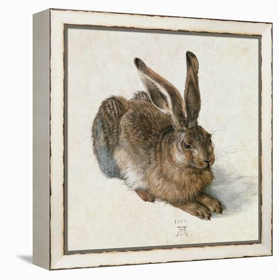 Hare, 1502-Albrecht Dürer-Framed Premier Image Canvas