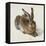 Hare, 1502-Albrecht Dürer-Framed Premier Image Canvas