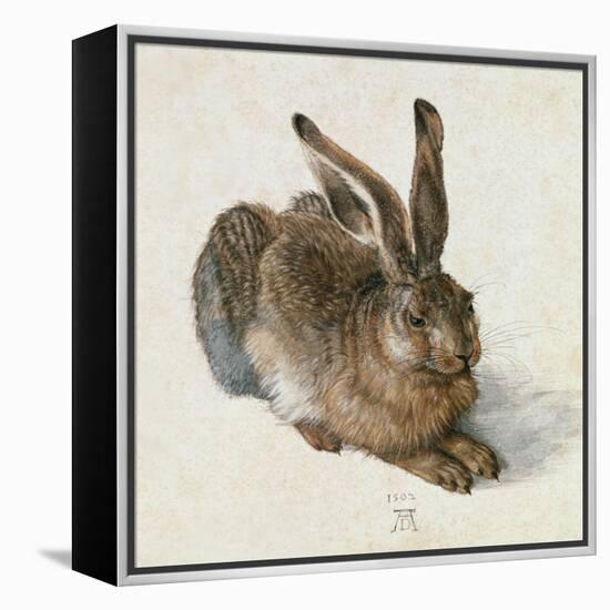 Hare, 1502-Albrecht Dürer-Framed Premier Image Canvas