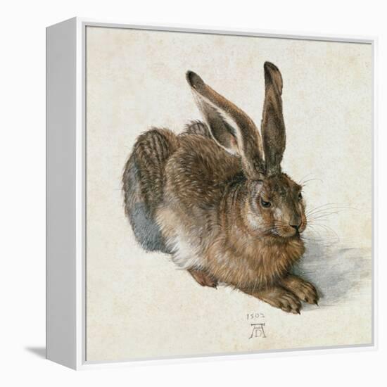 Hare, 1502-Albrecht Dürer-Framed Premier Image Canvas