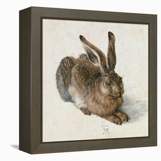 Hare, 1502-Albrecht Dürer-Framed Premier Image Canvas