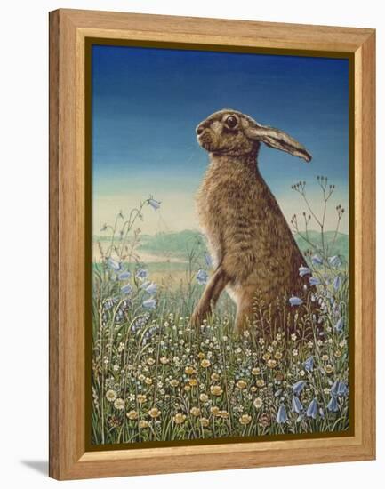 Hare, 1984-Frances Broomfield-Framed Premier Image Canvas