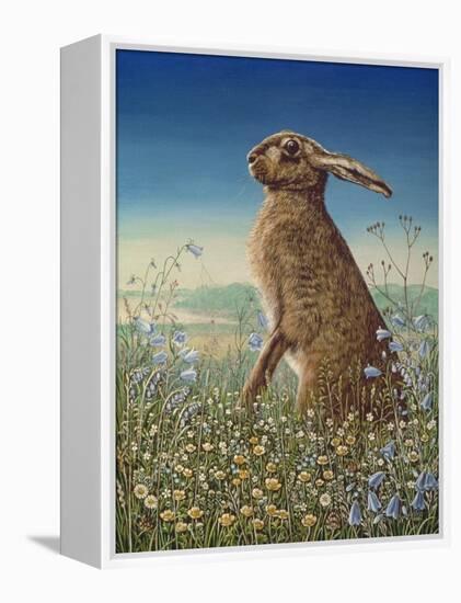 Hare, 1984-Frances Broomfield-Framed Premier Image Canvas