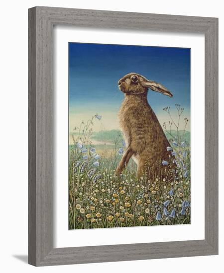 Hare, 1984-Frances Broomfield-Framed Giclee Print