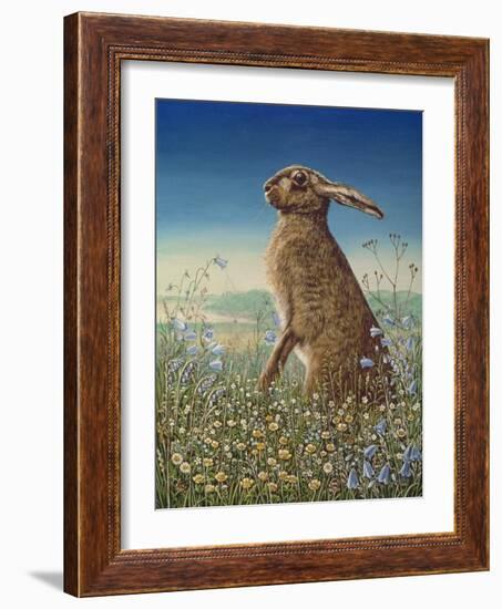 Hare, 1984-Frances Broomfield-Framed Giclee Print